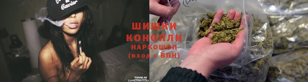 соль ск Абаза