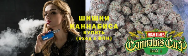 соль ск Абаза