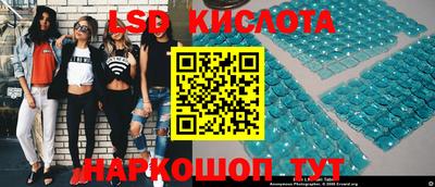 амф Камышлов