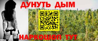 прущие крисы Кандалакша