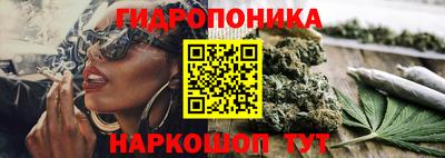амф Камышлов
