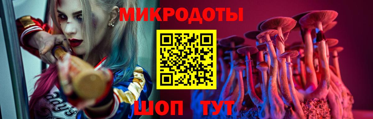 Лабытнанги  Галлюциногенные грибы Psilocybine cubensis  Вход с VPN  наркота  Галлюциногенные грибы мухоморы 