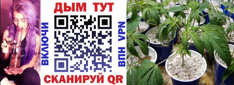 МЕГА ONION Лабытнанги Бошки Шишки AK-47 купить цена